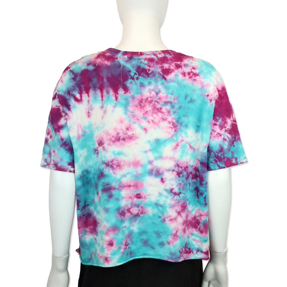 Aviator Nation Blue Pink Tie Dye Rainbow Embroidery Boyfriend Tee