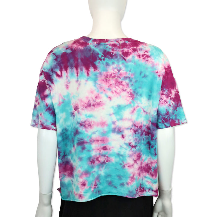 Aviator Nation Blue Pink Tie Dye Rainbow Embroidery Boyfriend Tee
