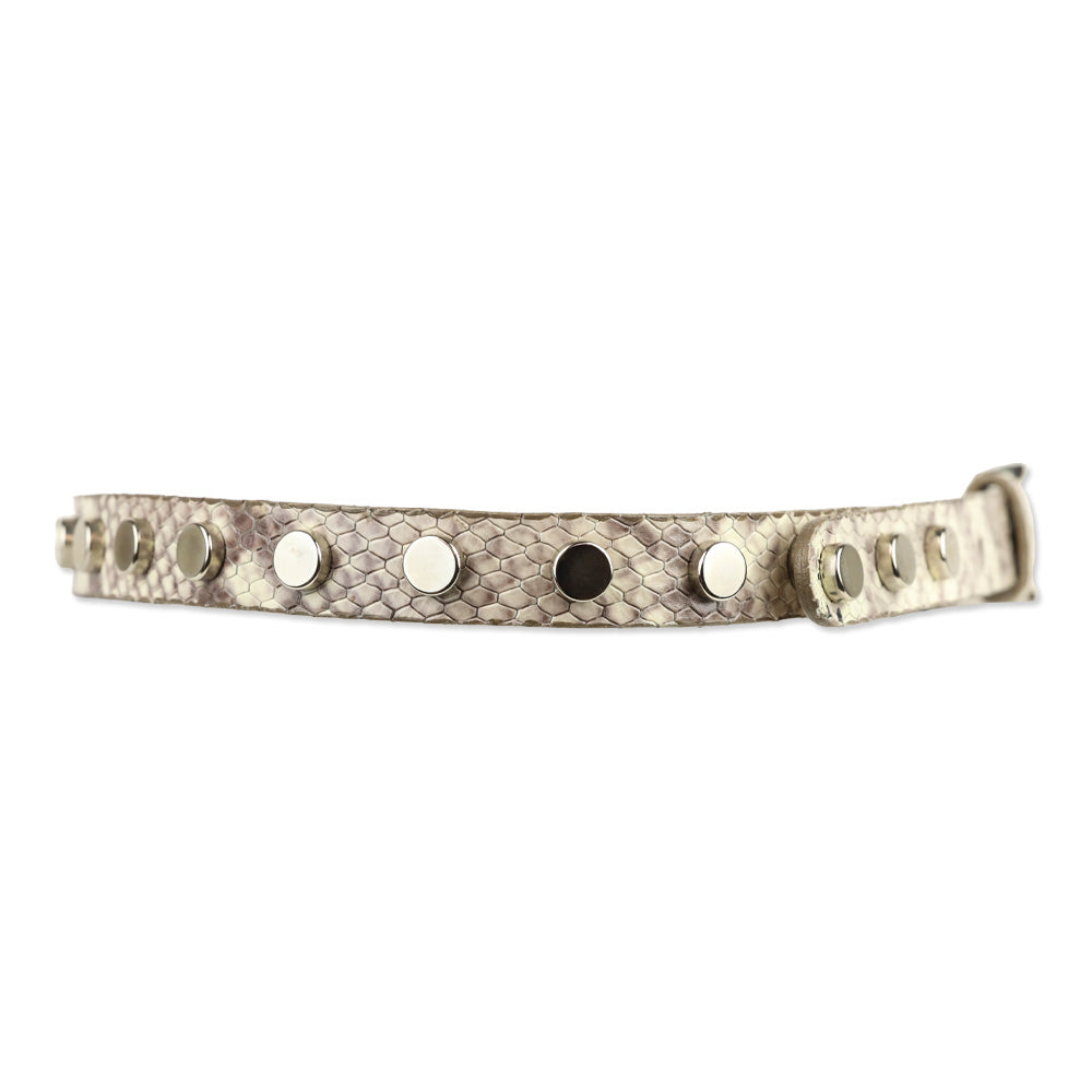 BRAVE Leather Grey Snakeskin Silver Studded Belt