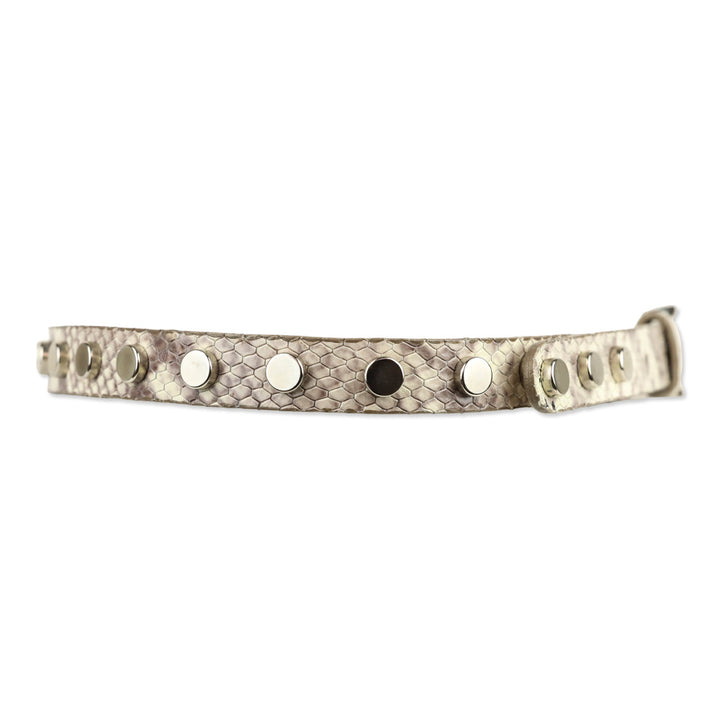 BRAVE Leather Grey Snakeskin Silver Studded Belt