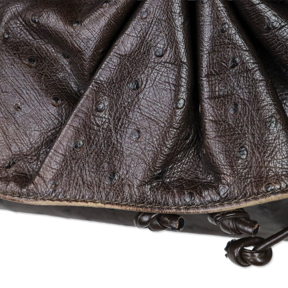 Carlos Falchi Brown Ostrich Leather Drawstring Cinch Crossbody Bag