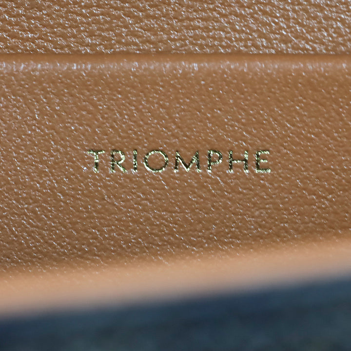 Celine Triomphe Coated Canvas and Calfskin Claude Chain Shoulder Bag