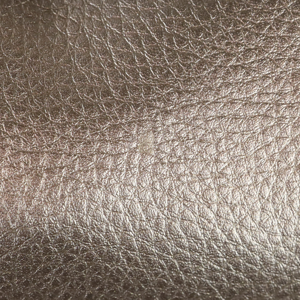 Coach F16605 Metallic Leather Mini Derby Backpack