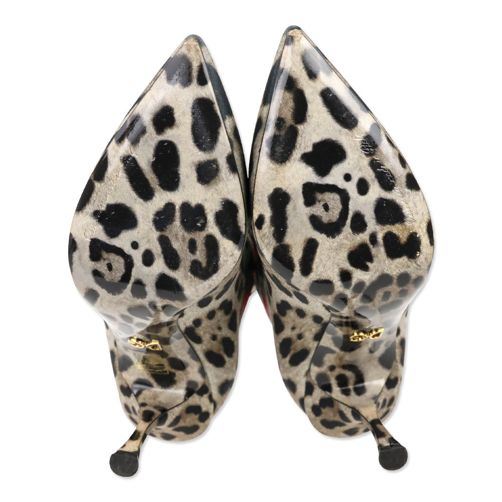 Dolce & Gabbana Leopard/Rose Print Jersey Short Booties