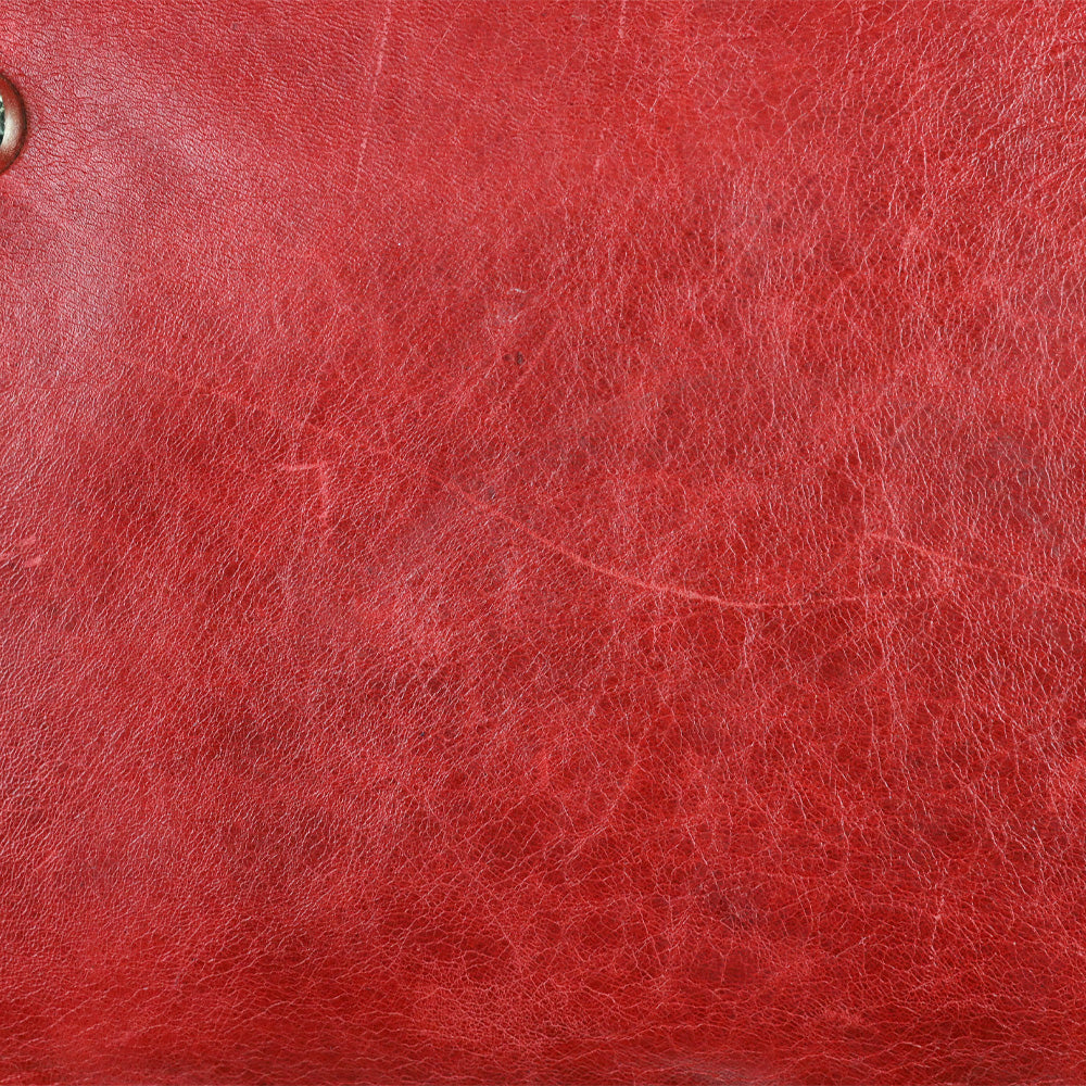 Dolce & Gabbana Lily Red Leather Zipper Doctor Bag
