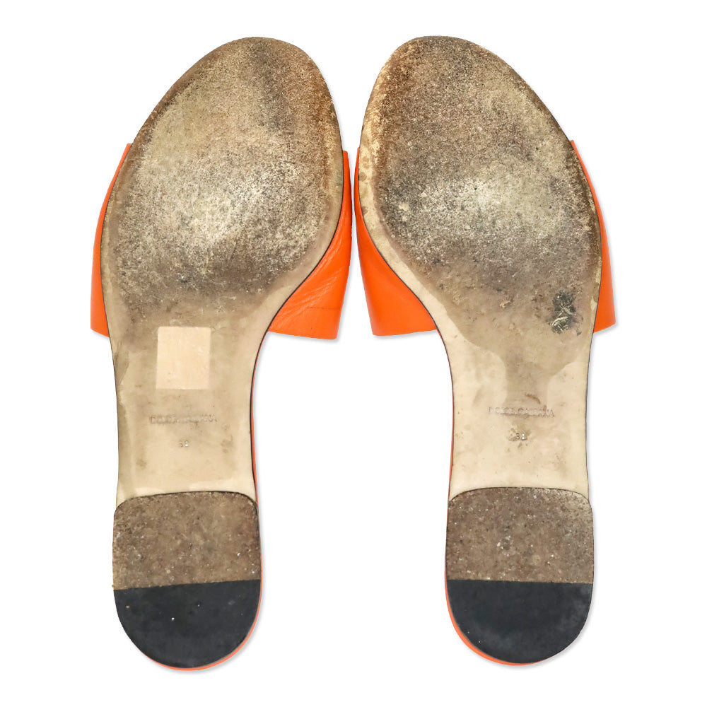 Dolce & Gabbana Orange Calfskin Sliders with DG logo