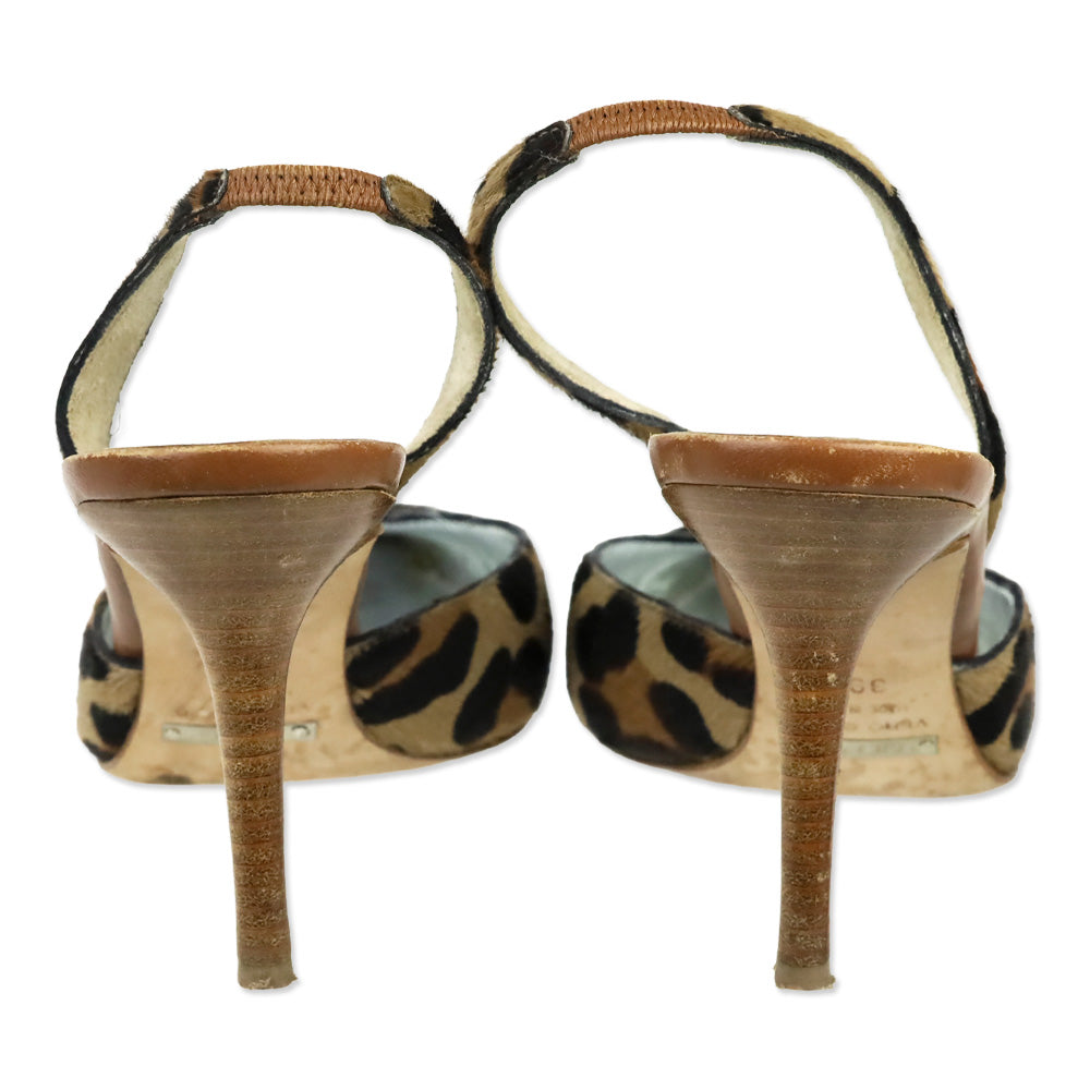 Dolce & Gabbana Leopard Print Calf Hair Crystal Buckle Kitten Heel