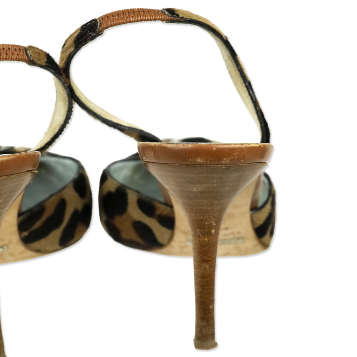 Dolce & Gabbana Leopard Print Calf Hair Crystal Buckle Kitten Heel