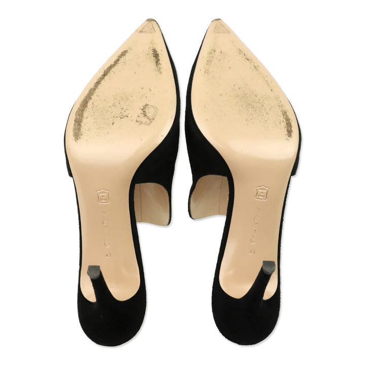 Gianvito Rossi Black Suede Heeled Mule