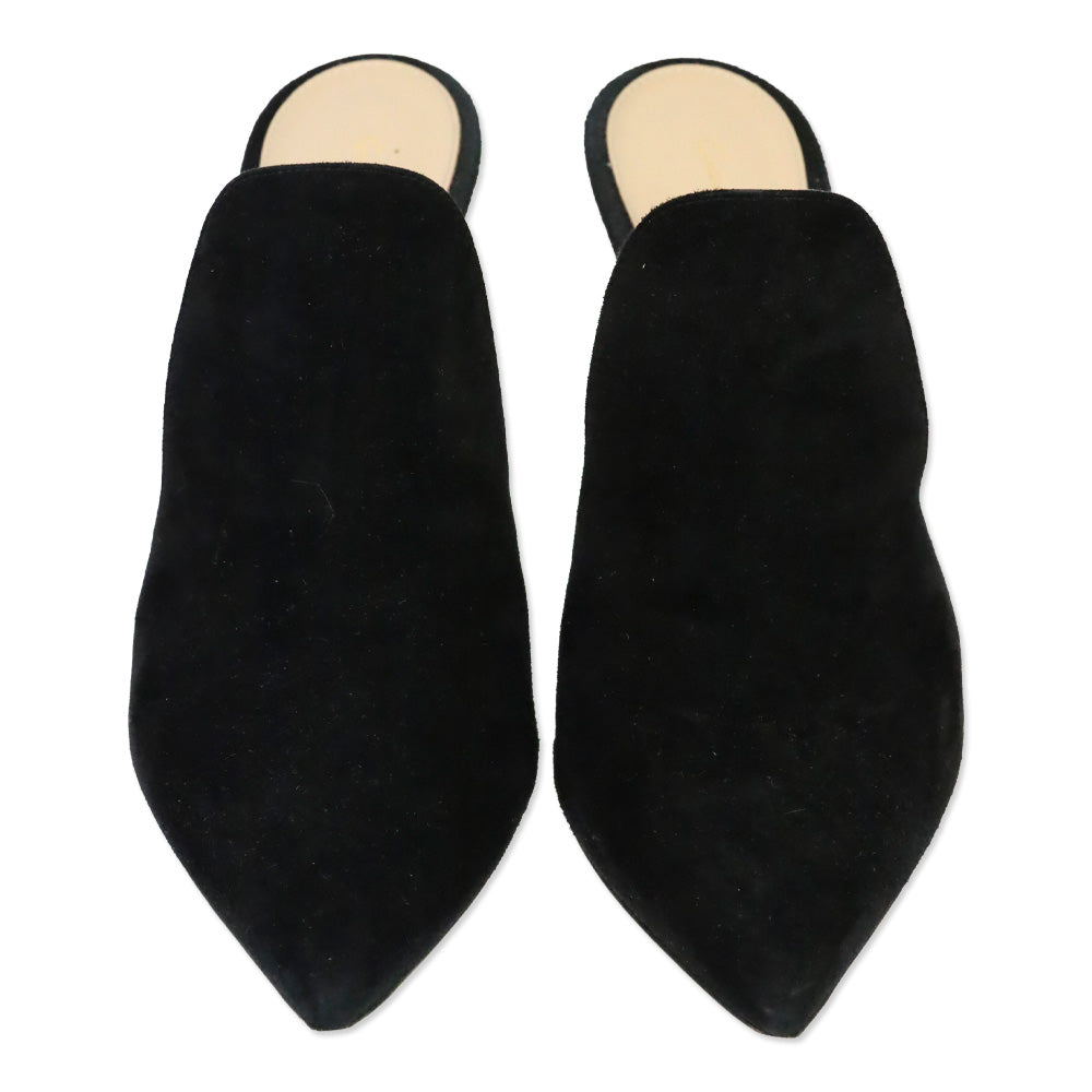 Gianvito Rossi Black Suede Heeled Mule