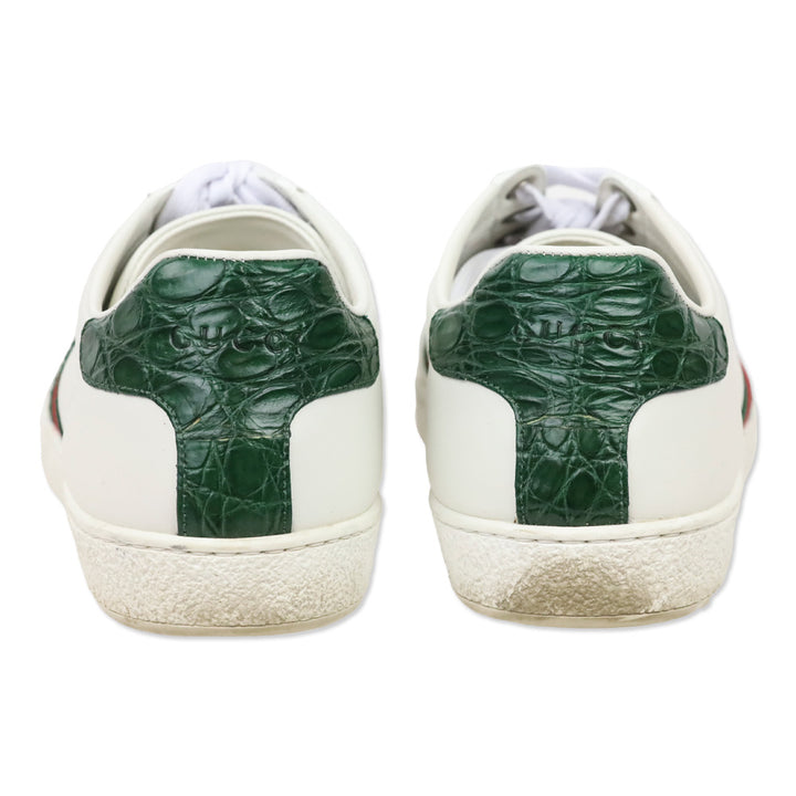 Gucci White Leather Ace Sneaker with Web