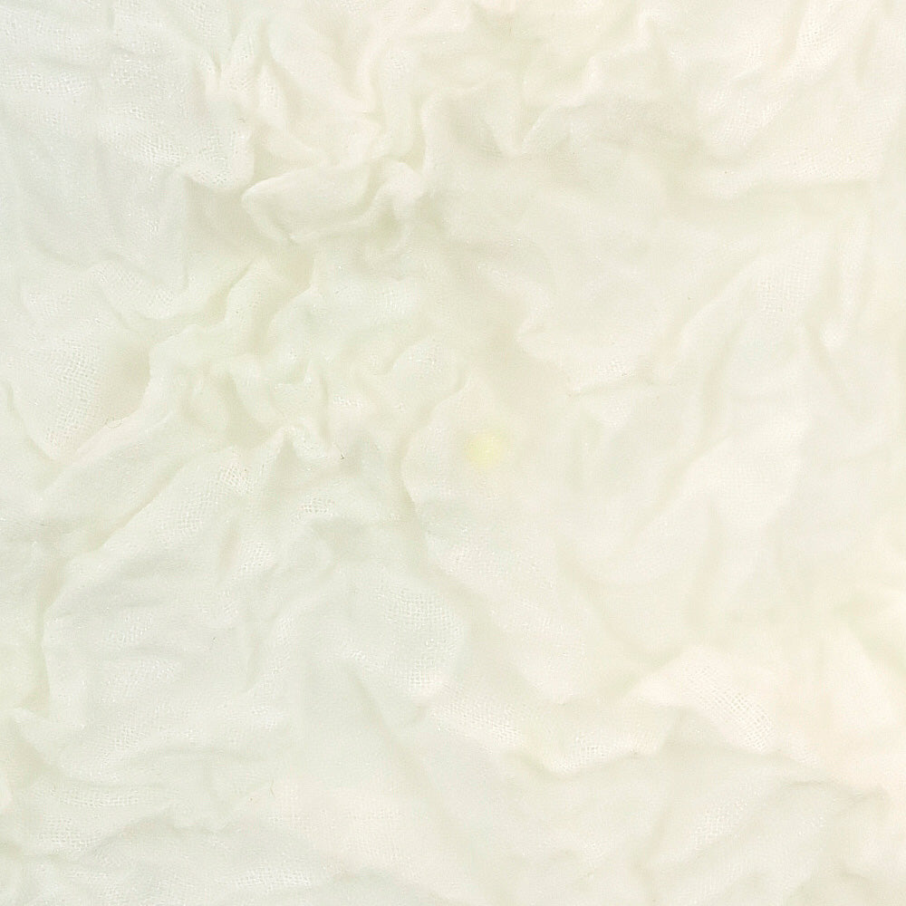 Issey Miyake White Label F/W 2003 Crinkle Steam Stretch Top