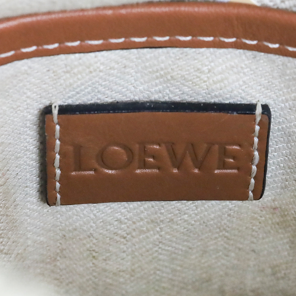 LOEWE x Paula's Ibiza Rainbow Raffia Clutch Crossbody Bag