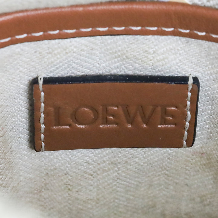 LOEWE x Paula's Ibiza Rainbow Raffia Clutch Crossbody Bag