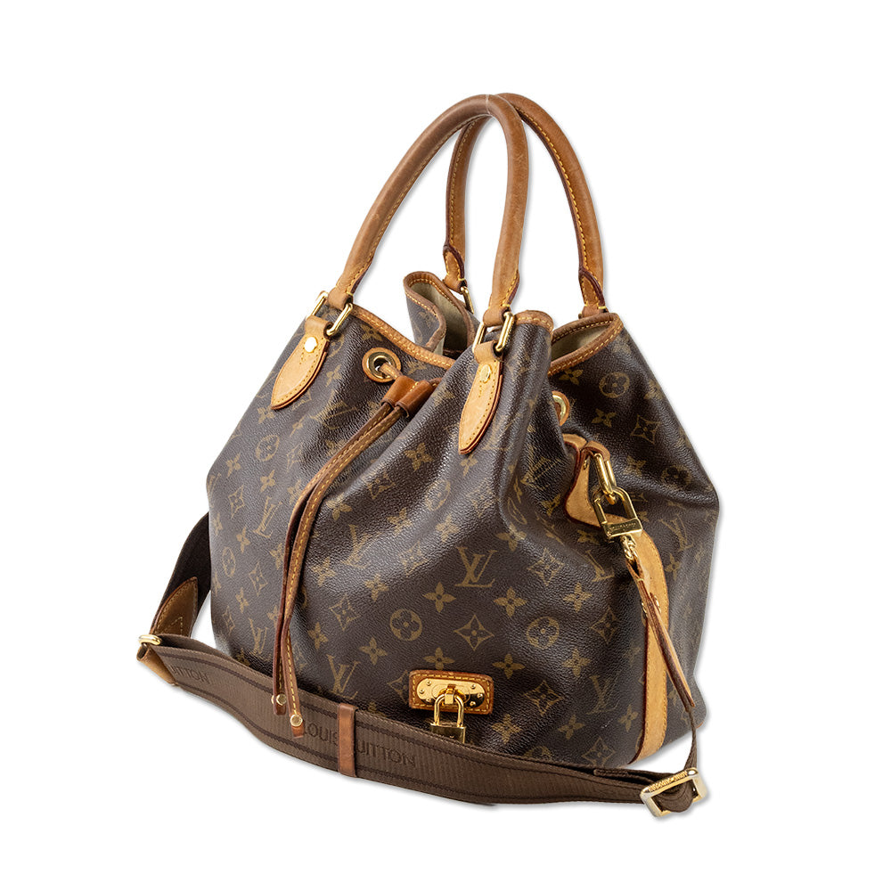 Louis Vuitton Coated Canvas Monogram Neo Handbag