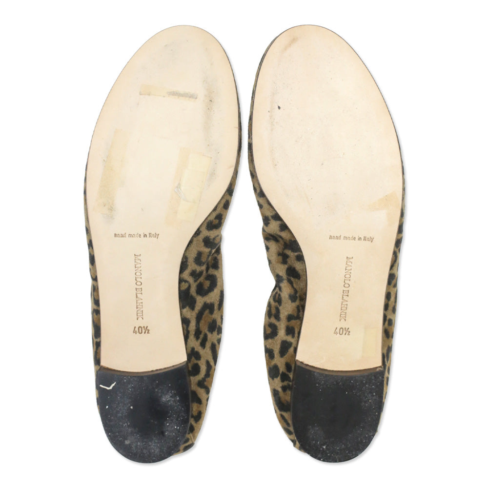 Manolo Blahnik Leopard Print Suede Togram Elastic Ballet Flats