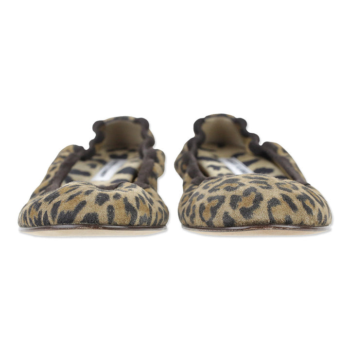 Manolo Blahnik Leopard Print Suede Togram Elastic Ballet Flats