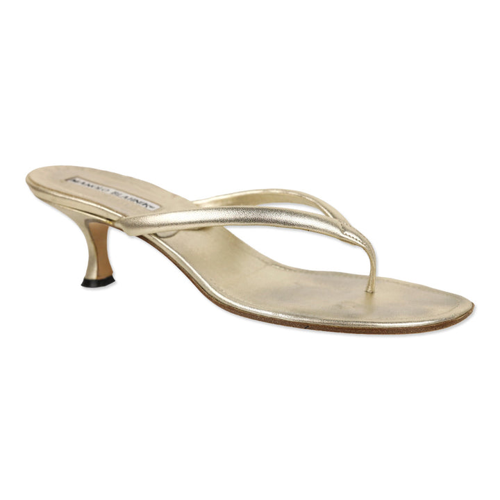Manolo Blahnik Metallic Gold Leather Kitten Heel Thong Sandal