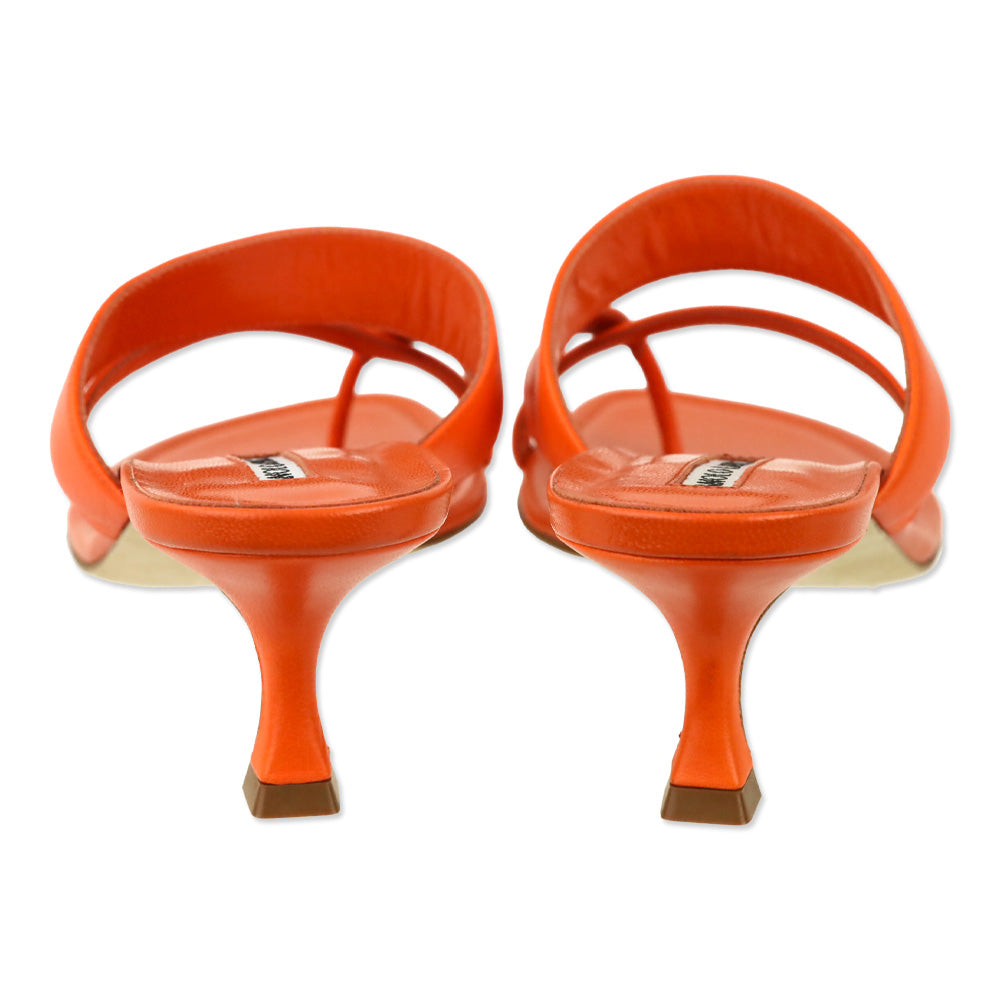 Manolo Blahnik Orange Nappa Susa 50 Thong Sandal