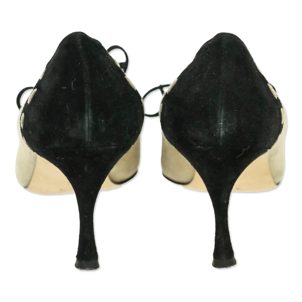 Manolo Blahnik Tan/Black Suede Bow Pumps