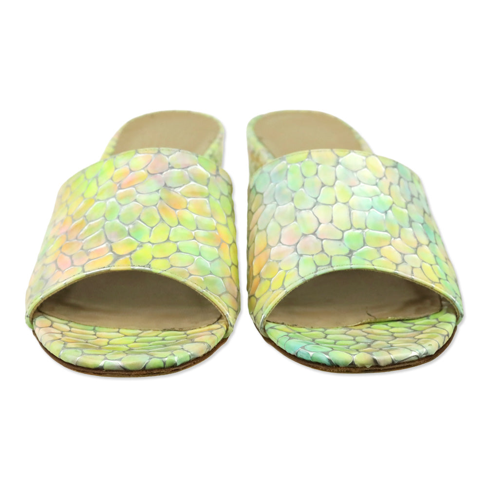 Maryam Nassir Zadeh Iridescent Rainbow Agatha Leather Slides