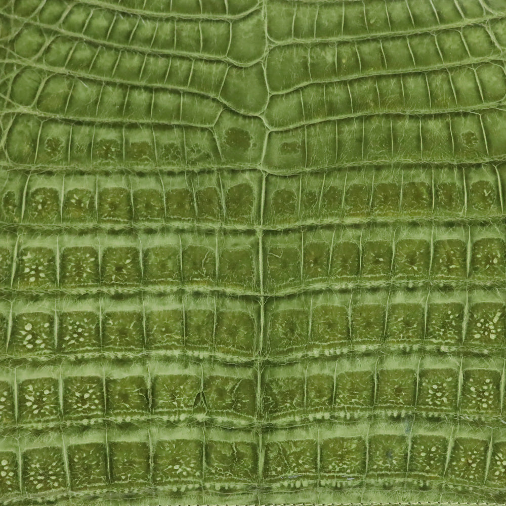Nancy Gonzalez Green Croc-Embossed Leather Top Handle Bag