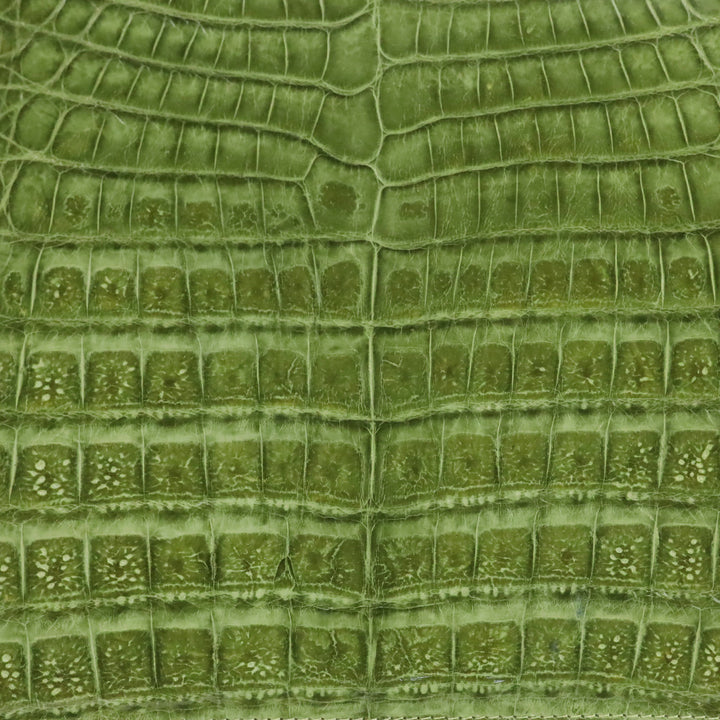 Nancy Gonzalez Green Croc-Embossed Leather Top Handle Bag