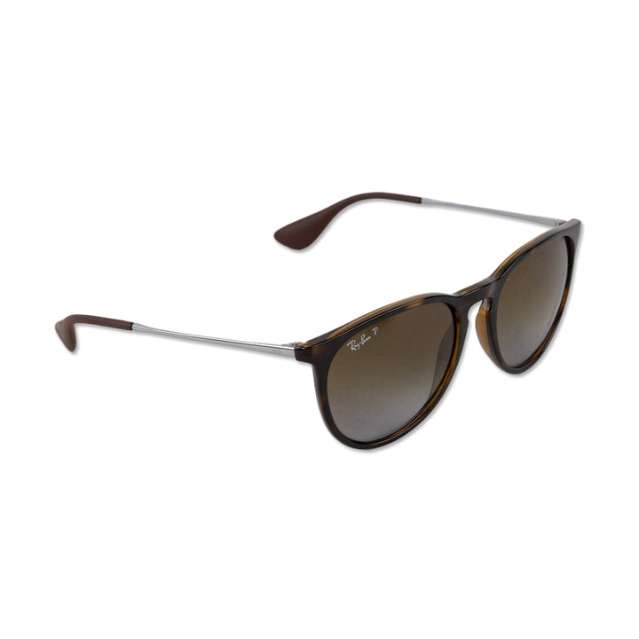 Ray Ban Erika Wayfarer Sunglasses in Brown