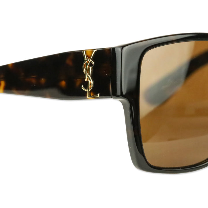 Saint Laurent Shiny Dark Havana Square-Frame Acetate Sunglasses