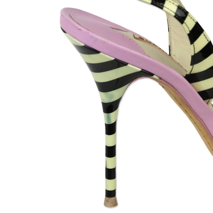 Sophia Webster Lilico Floral-appliquéd Striped Leather Sandals
