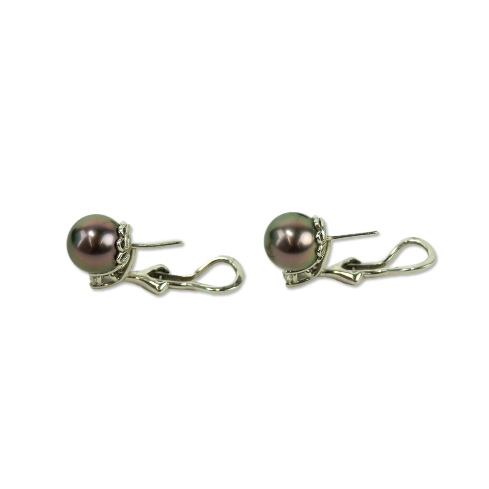 Tiffany & Co. Platinum Tahitian Pearl Diamond Stud Earring