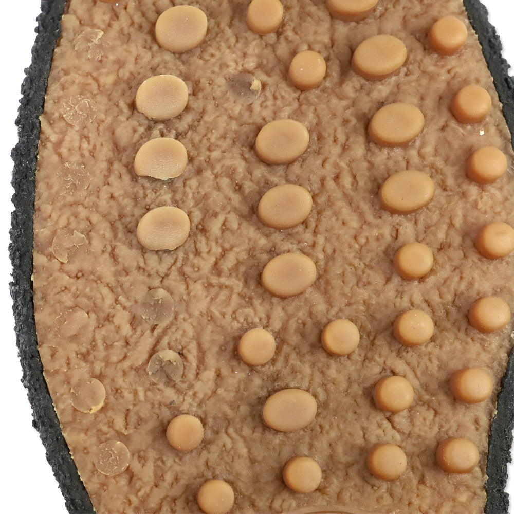 Tod's Black Brushed Leather Platform Driving Penny Loafers