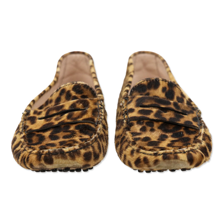 Tod's Leopard Print Calf Hair Gommino Driving Penny Loafers