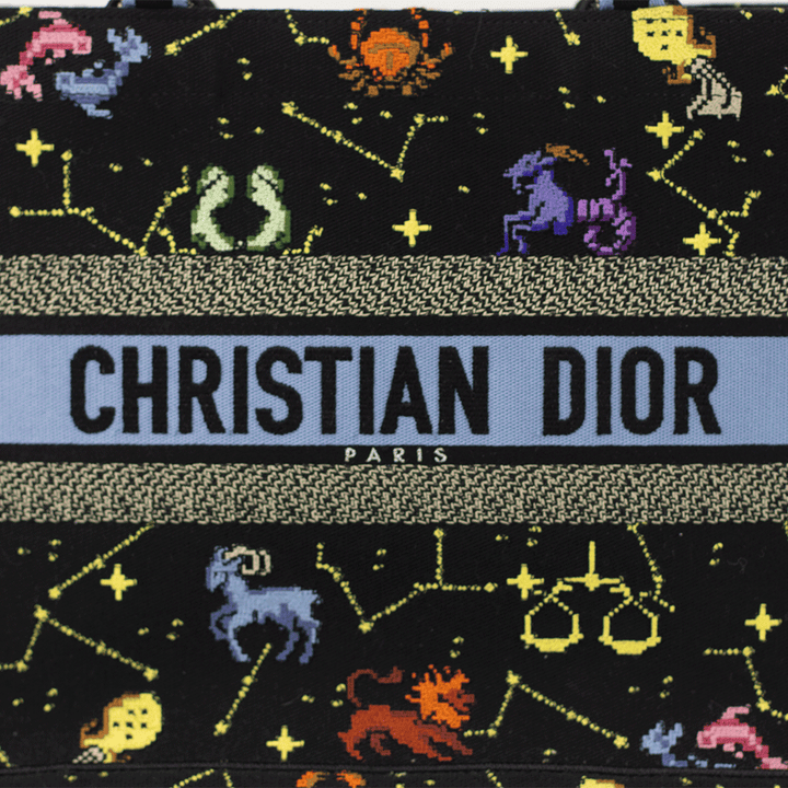 Christian Dior Pixel Zodiac Medium Book Tote