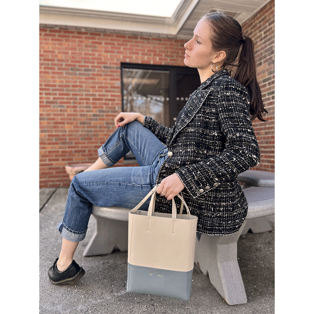 Celine bi cabas tote sale